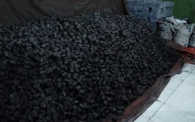 Coco Briquette Asia in Global Markets