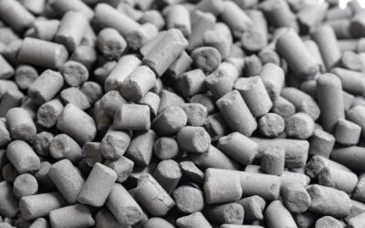 Briquette Coconut Shell for Sustainable Energy