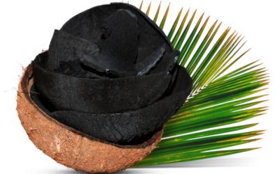 Coconut Shell Charcoal Manufacturers in Indonesia