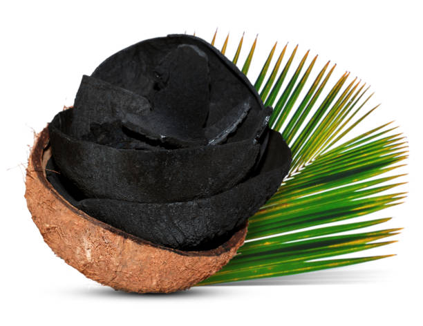 Coconut Shell Charcoal Manufacturers in Indonesia