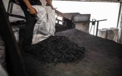 11 Coco Briquette Asia Premium Export Supply