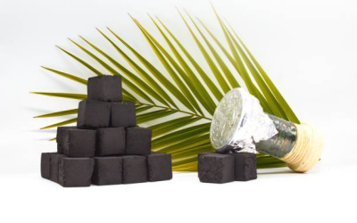 How Coconut Charcoal Supports Sustainability?