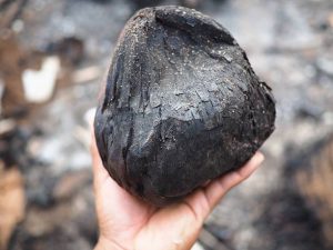 Indonesia Coconut Charcoal Producing Regions