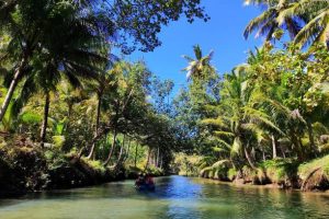 Indonesia Coconut Charcoal Producing Regions