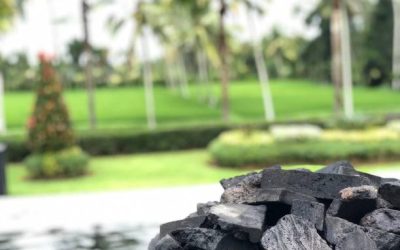Top 7 Indonesia Coconut Charcoal Producing Regions