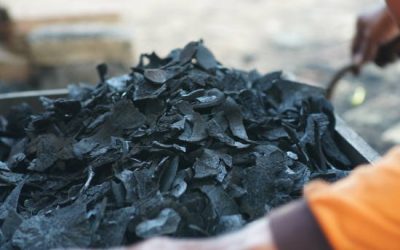 Sustainable Green Energy: Why Coconut Shell Charcoal Briquettes Are the Future of Biomass?