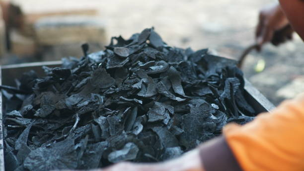 renewable energy coconut shell charcoal