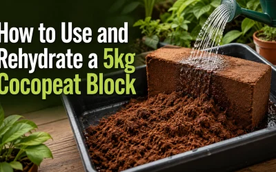 How to Use and Rehydrate a 5kg Cocopeat Block?